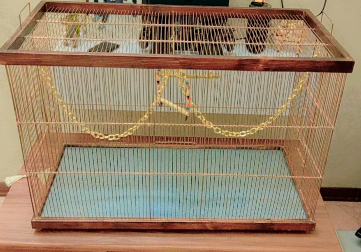 قفس زینتی پرنده