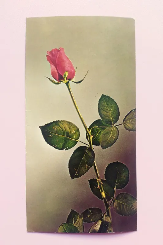 کارت پستال قدیمی و زیبا با تصویر گل سرخ