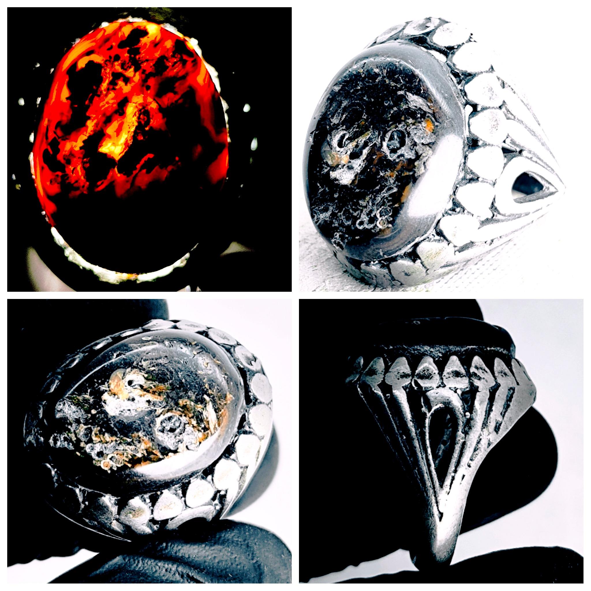 مزایده زوعه اصیل شاه مار کبری بسیار کمیاب اعجوبه