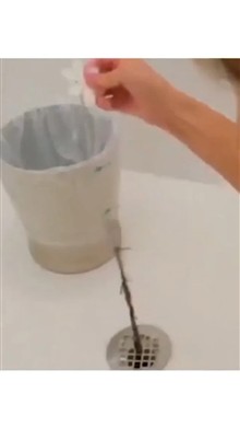 موگیر
