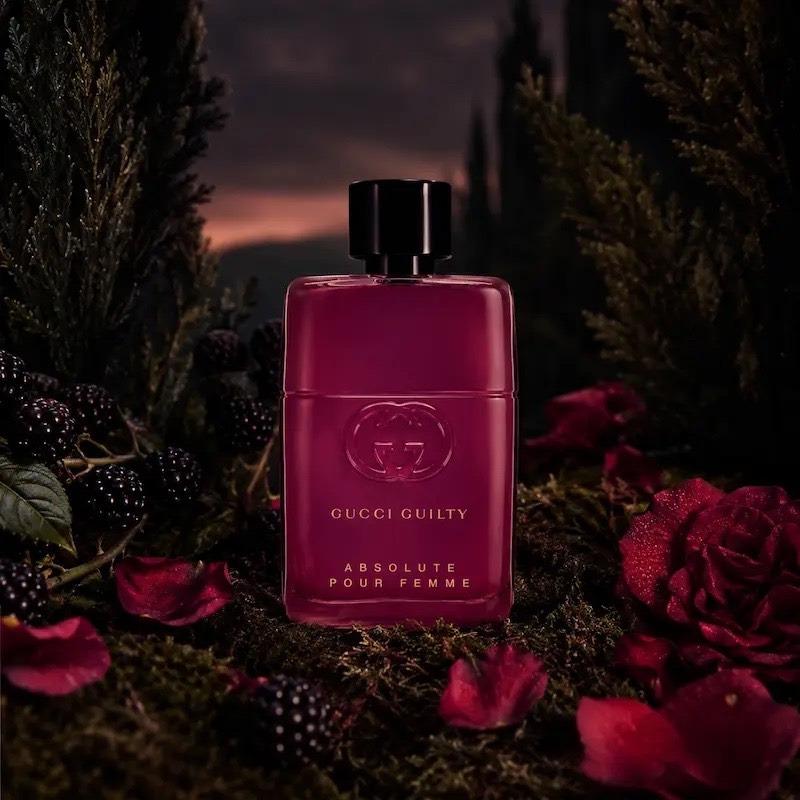 عطر گوچی گیلکی ابسولوت زنانه
