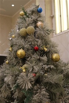 درخت