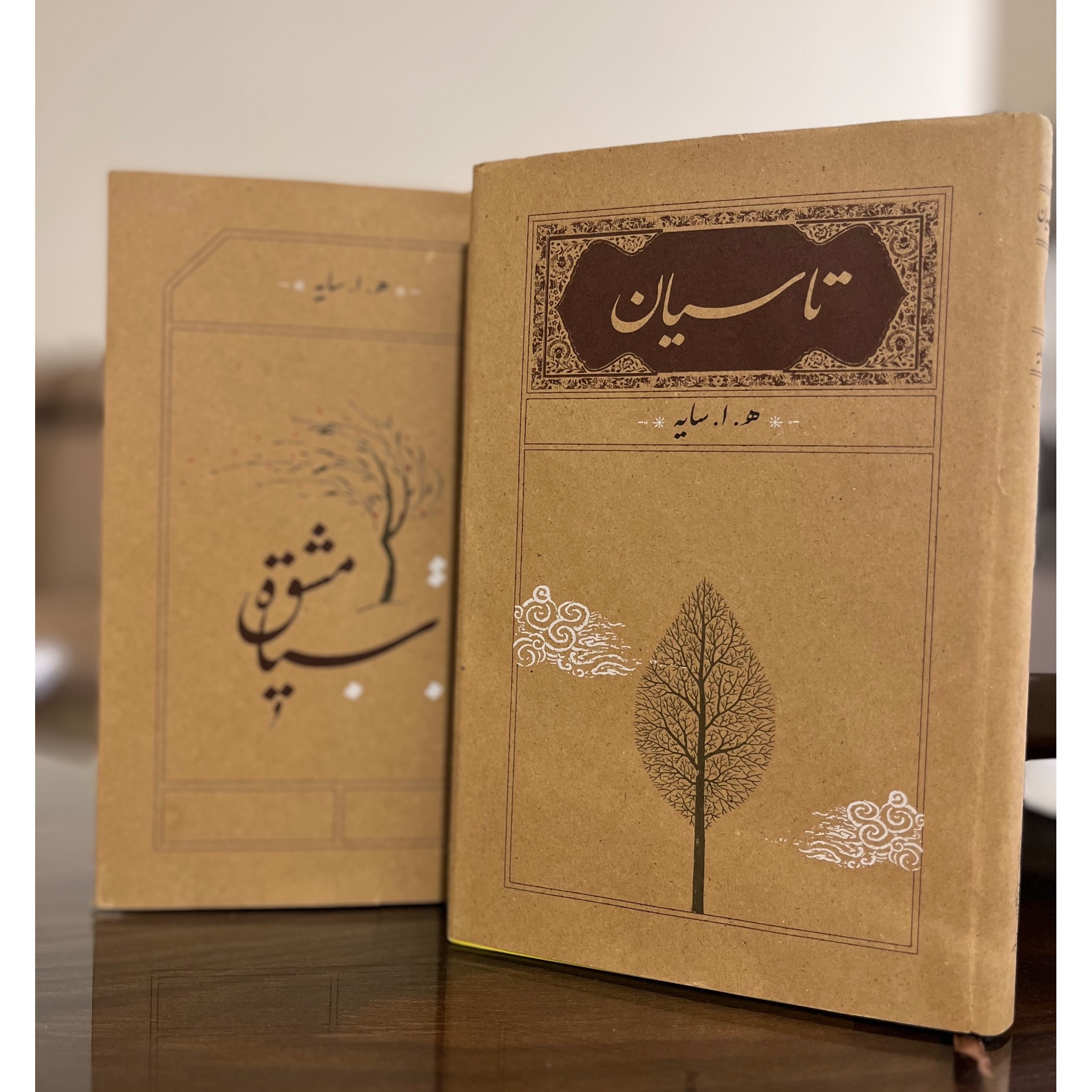 مجموعه اشعار هوشنگ ابتهاج