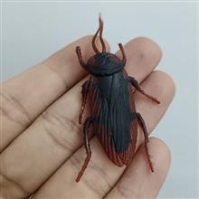 سوسک