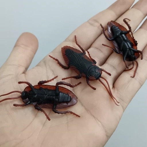 سوسک شوخی مصنوعی بسته 3 عددی