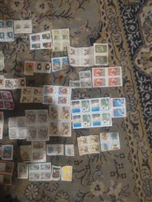 مجموعه