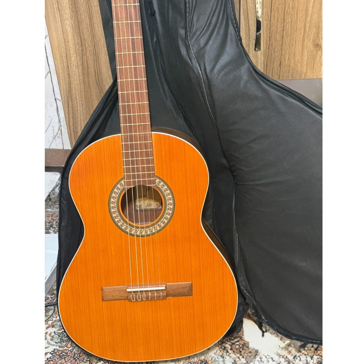 گیتار پارسی مدل m6 نو