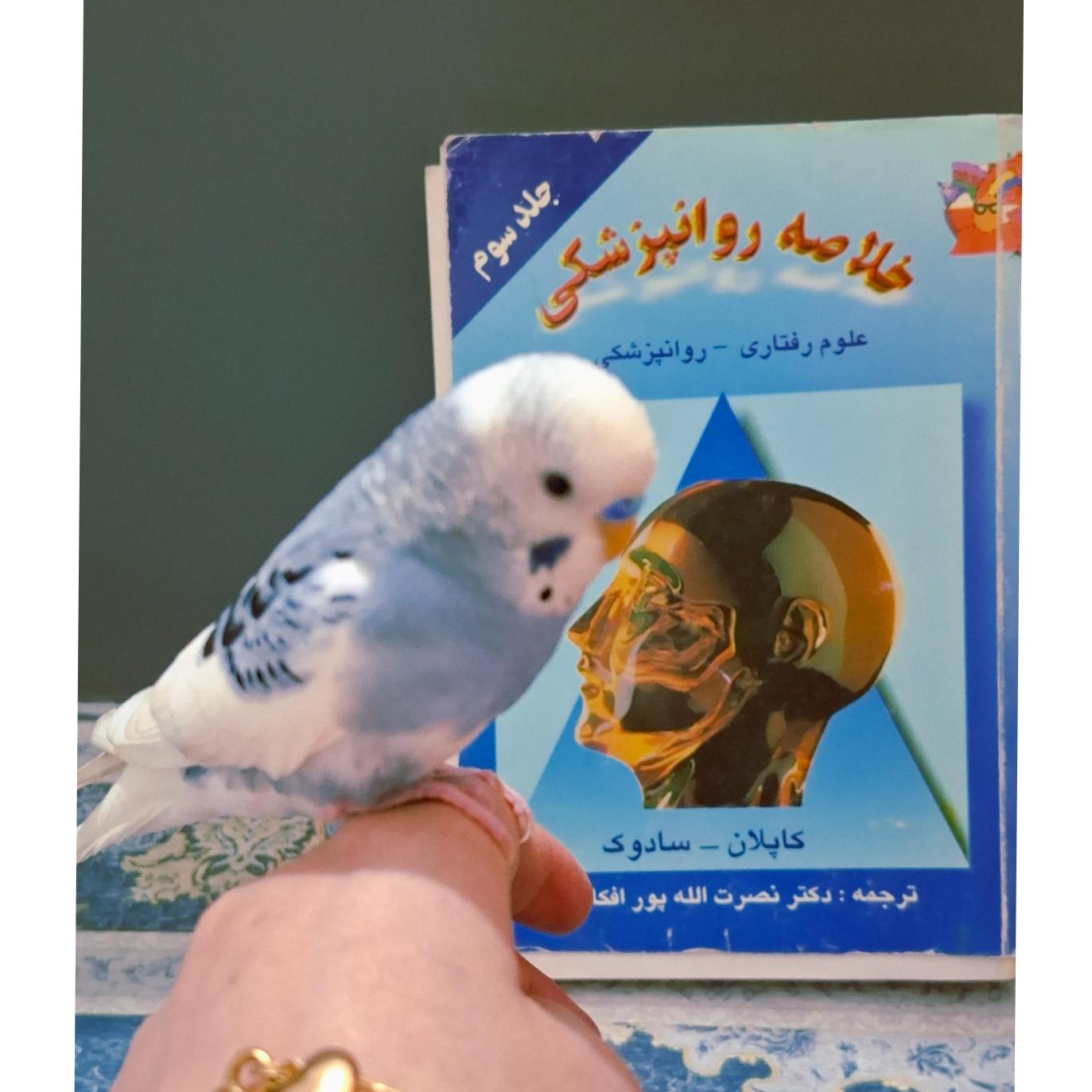 کتاب خلاصه روانپزشکی جلد سوم