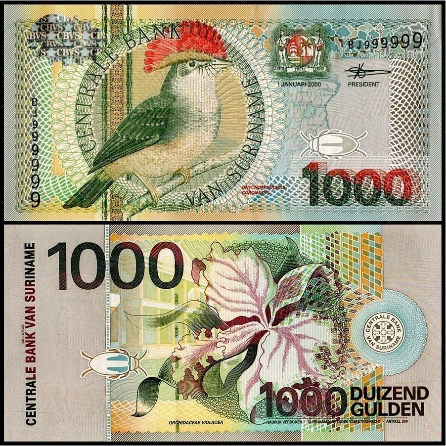 اسکناس 1000 گیلدر سورینام