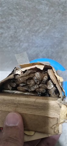 فرز
