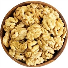 مغز