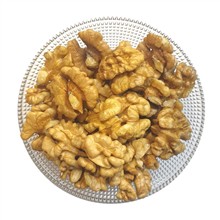مغز