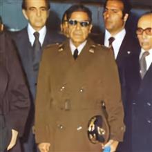 پالتو