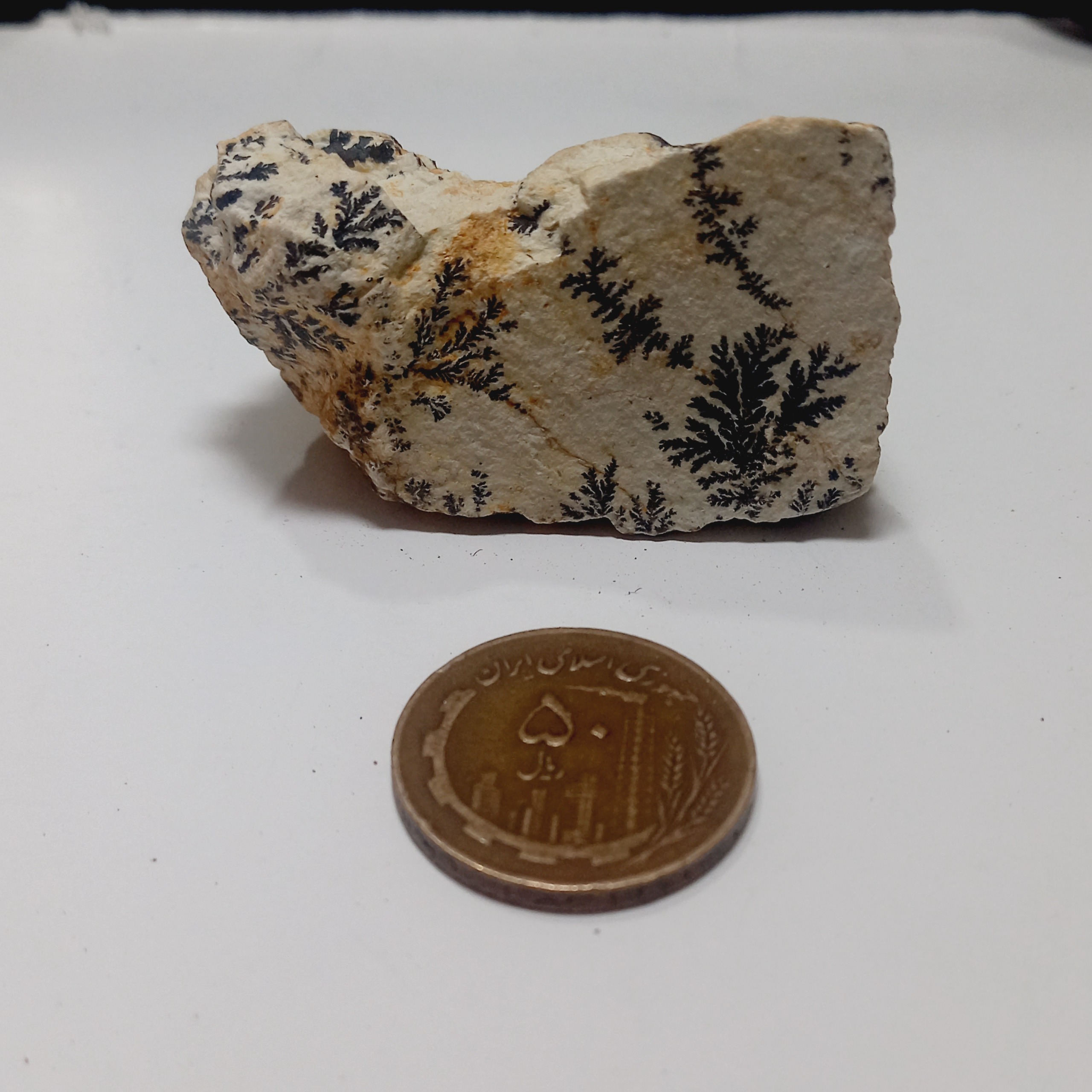 سنگ فوق زیبا شجر دندریت گلچینی کد 780