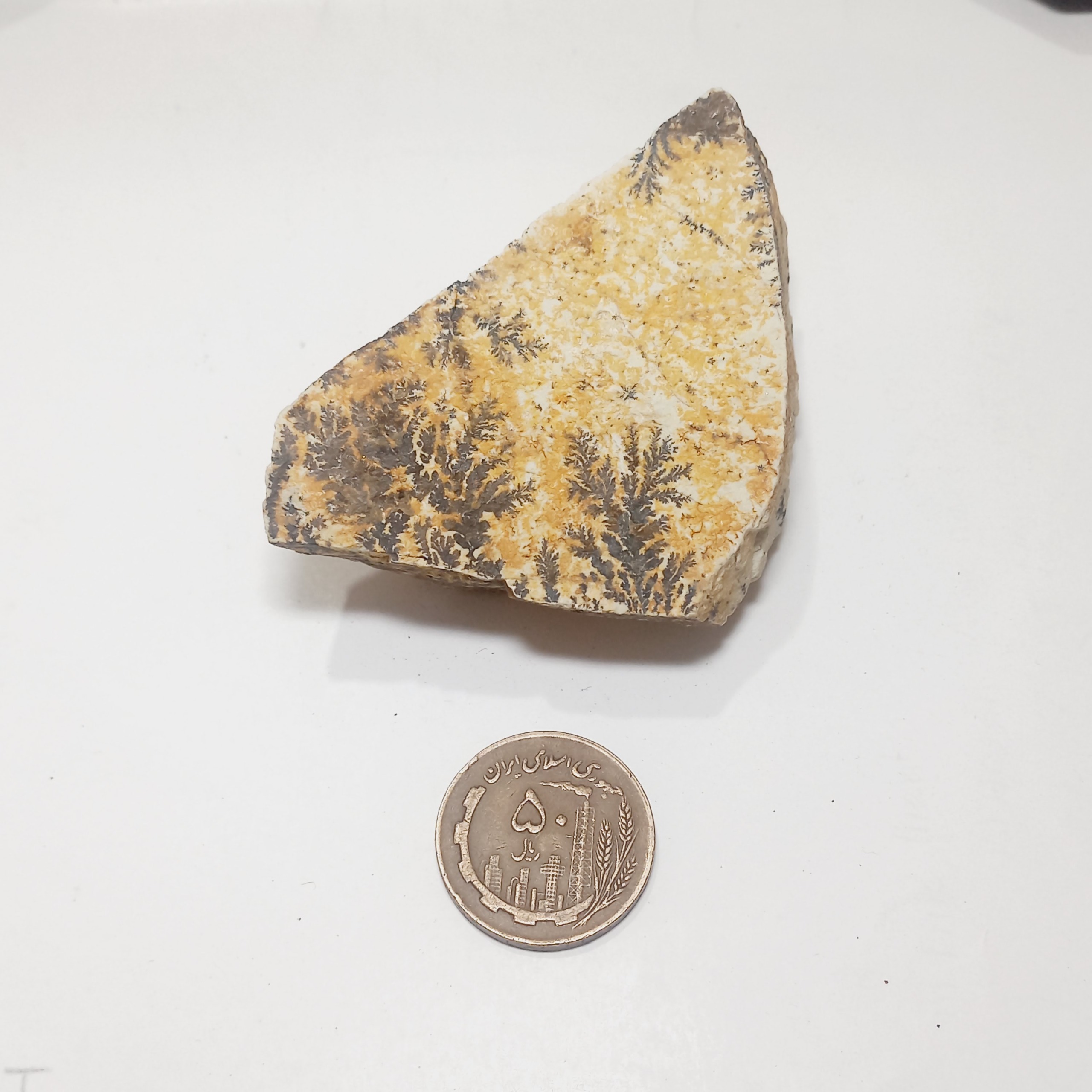 سنگ فوق زیبا شجر دندریت گلچینی کد 200