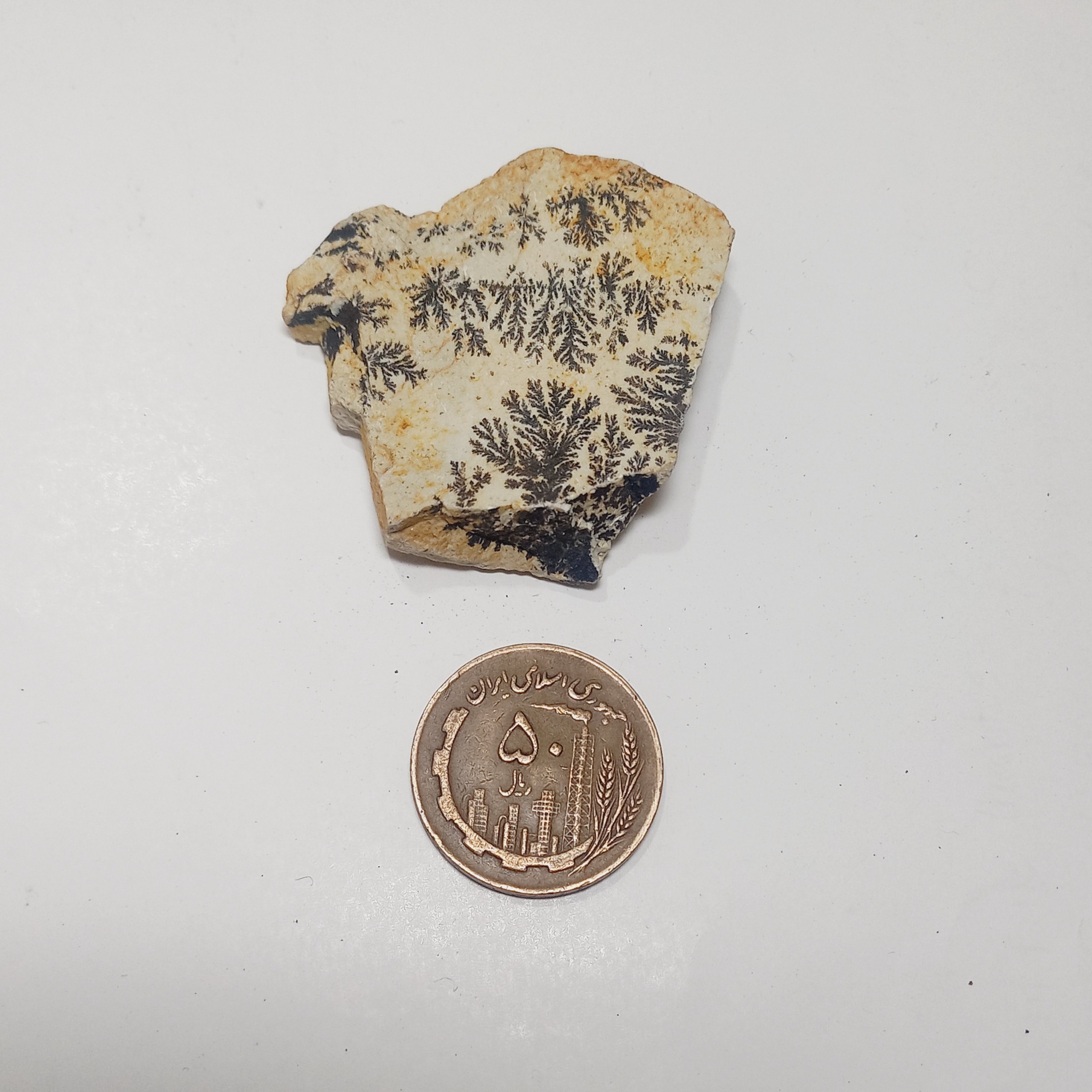 سنگ فوق زیبا شجر دندریت گلچینی کد 091