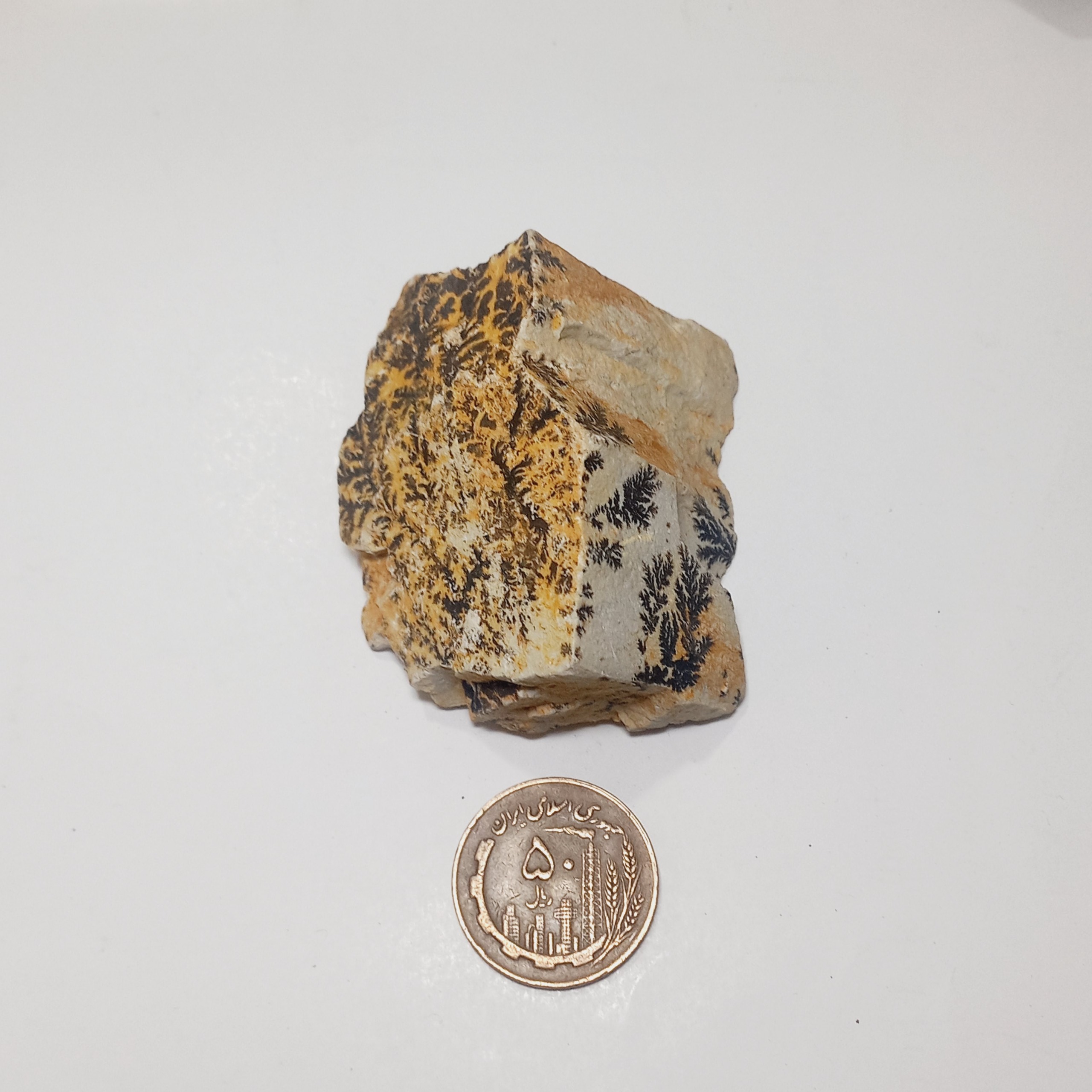 سنگ فوق زیبا شجر دندریت گلچینی کد 9