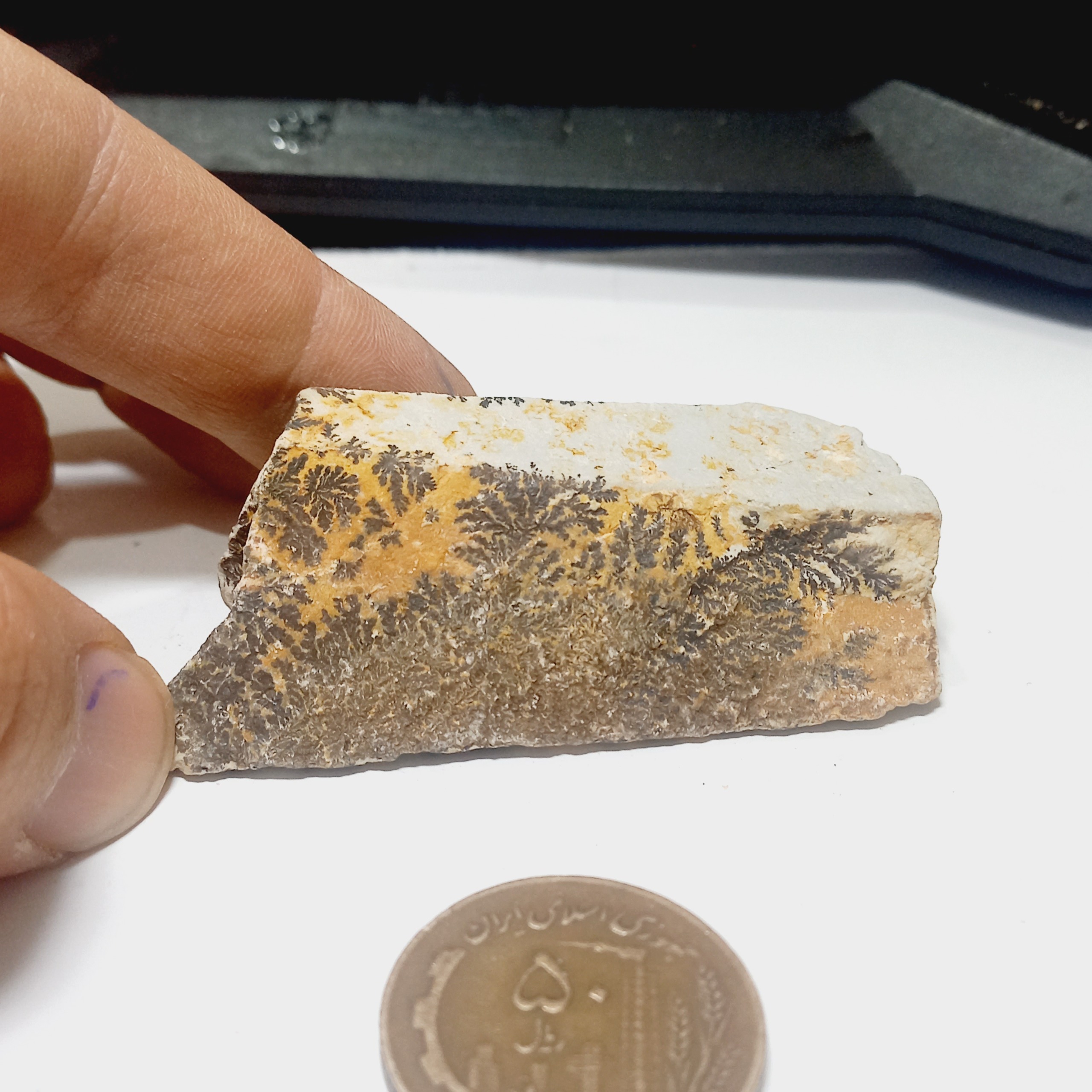 سنگ فوق زیبا شجر دندریت گلچینی کد 7654