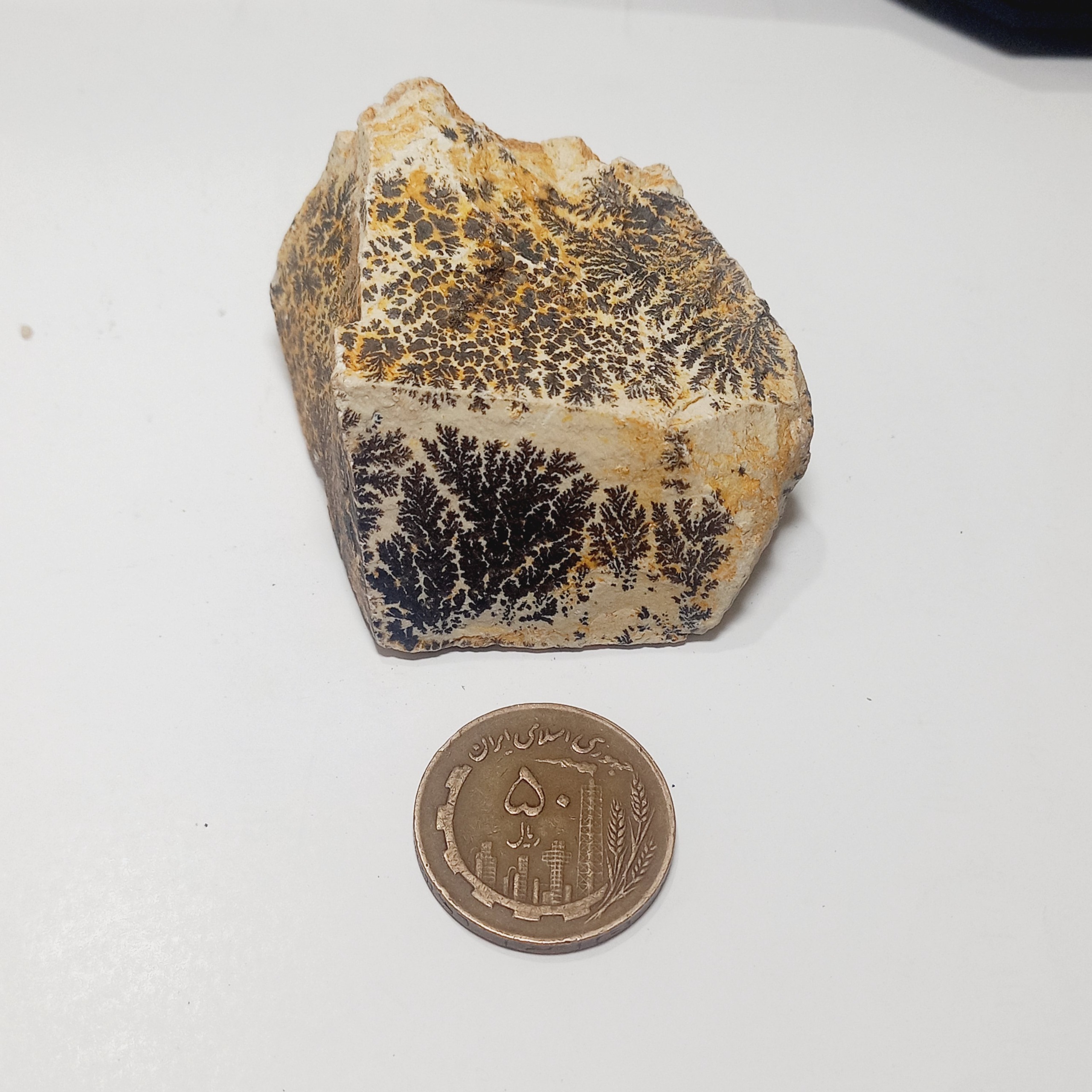 سنگ فوق زیبا شجر دندریت گلچینی کد 560