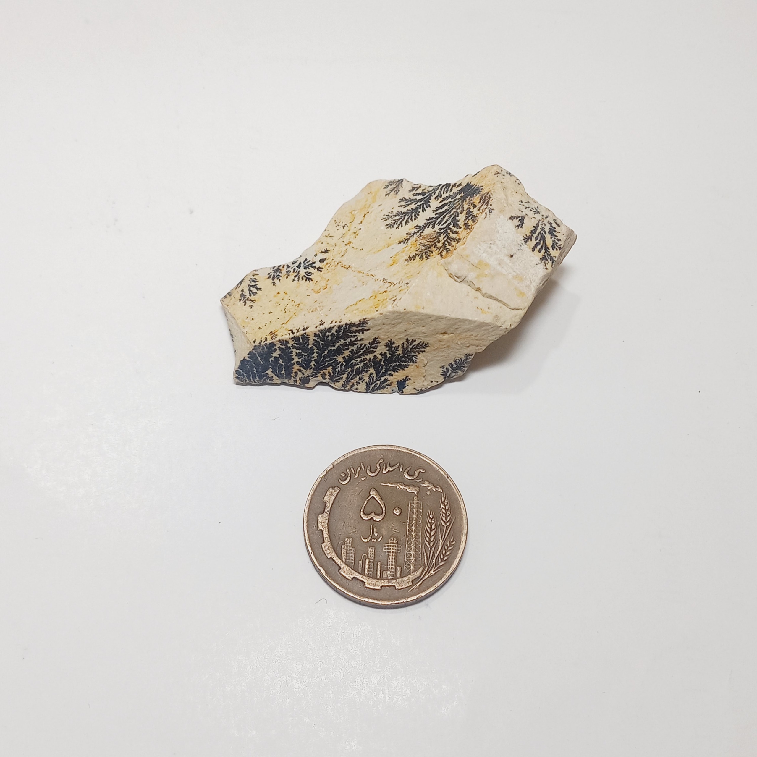 سنگ فوق زیبا شجر دندریت گلچینی کد 1