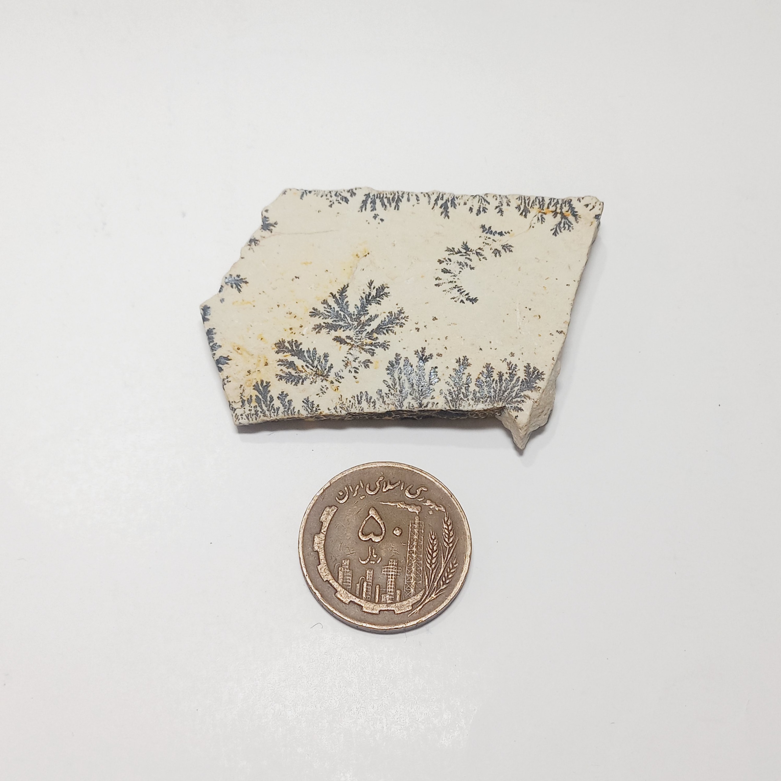 سنگ فوق زیبا شجر درختی دندریت گلچینی کد 2