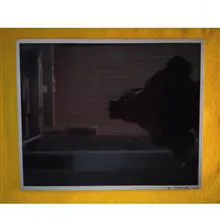 پنل