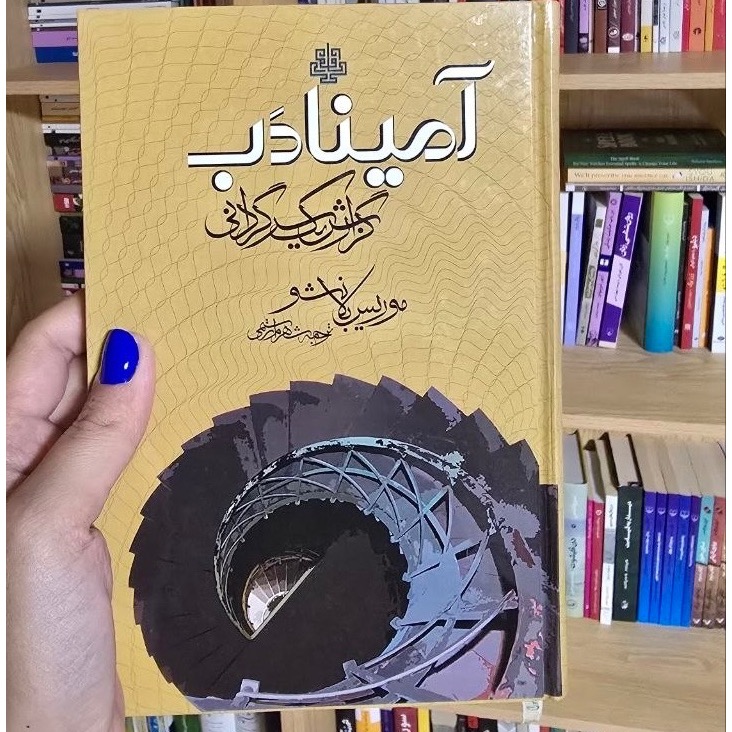آمینادب گزارش یک سرگردانی