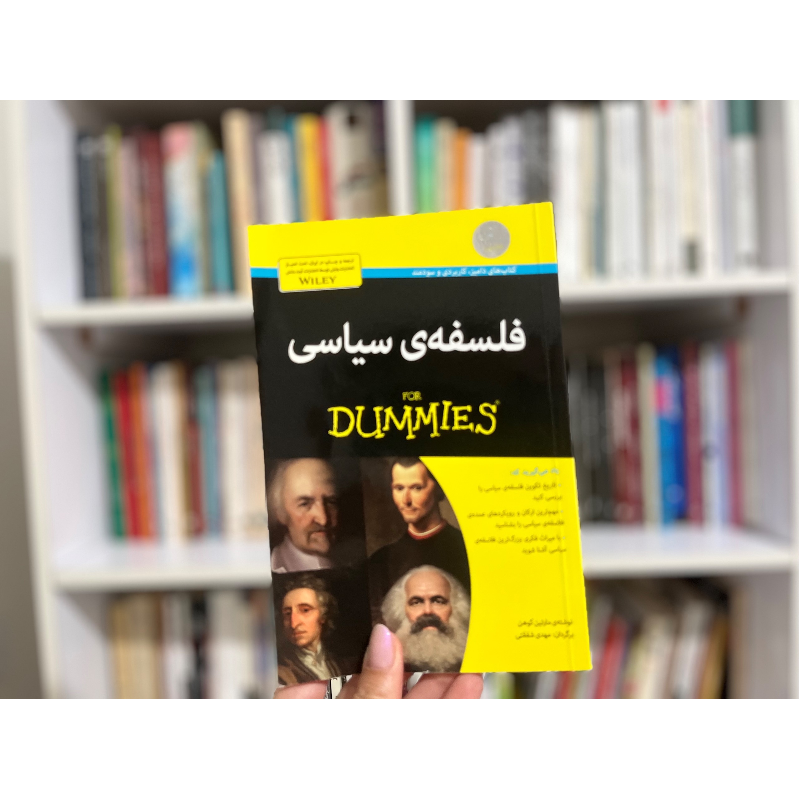 فلسفه سیاسی دامیز