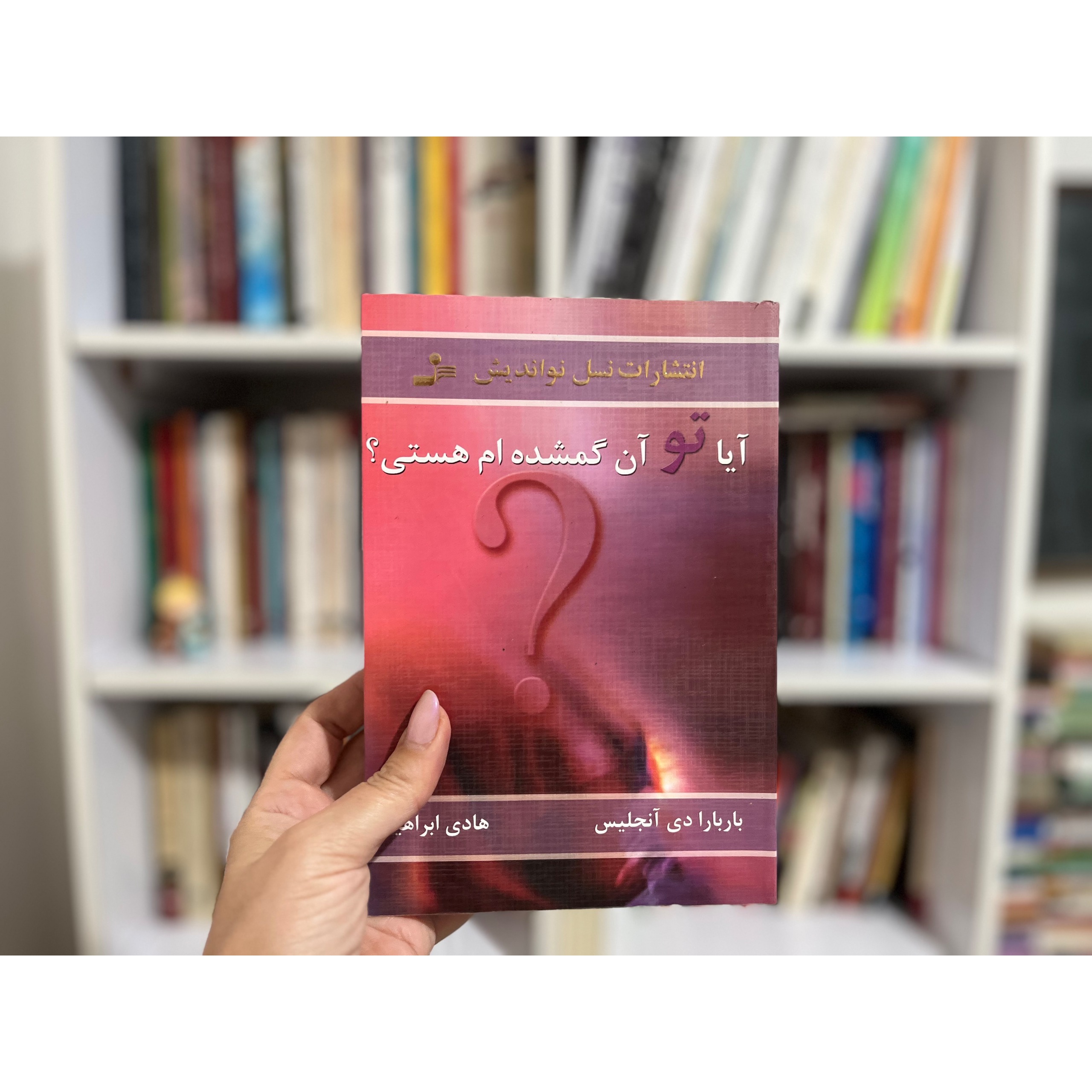 آیا تو آن گمشده ام هستی (باربارا دی آنجلیس)