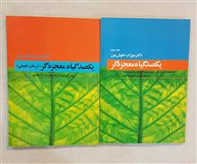 یکصد