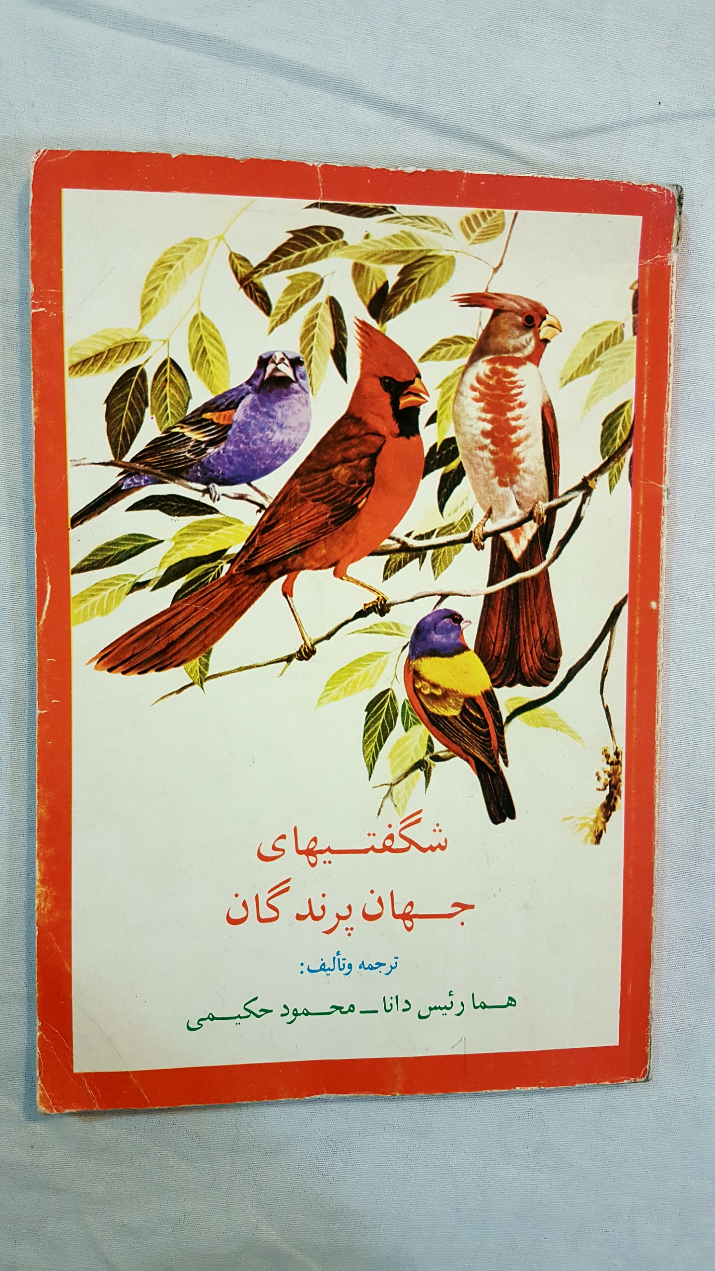 شگفتیهای جهان پرندگان