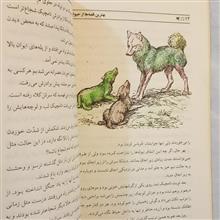 بهترین