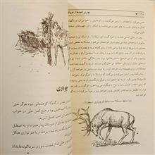 بهترین