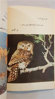 خدا