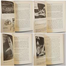 حیوانات