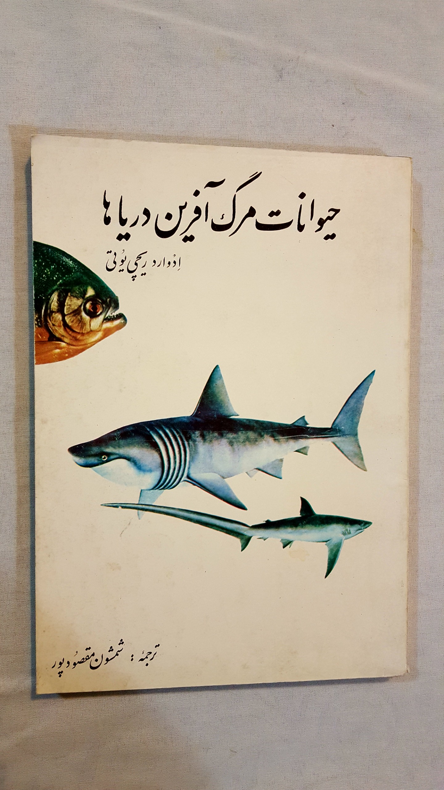 حیوانات مرگ آفرین دریا مصور