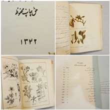 علوم