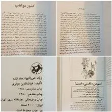 زبان