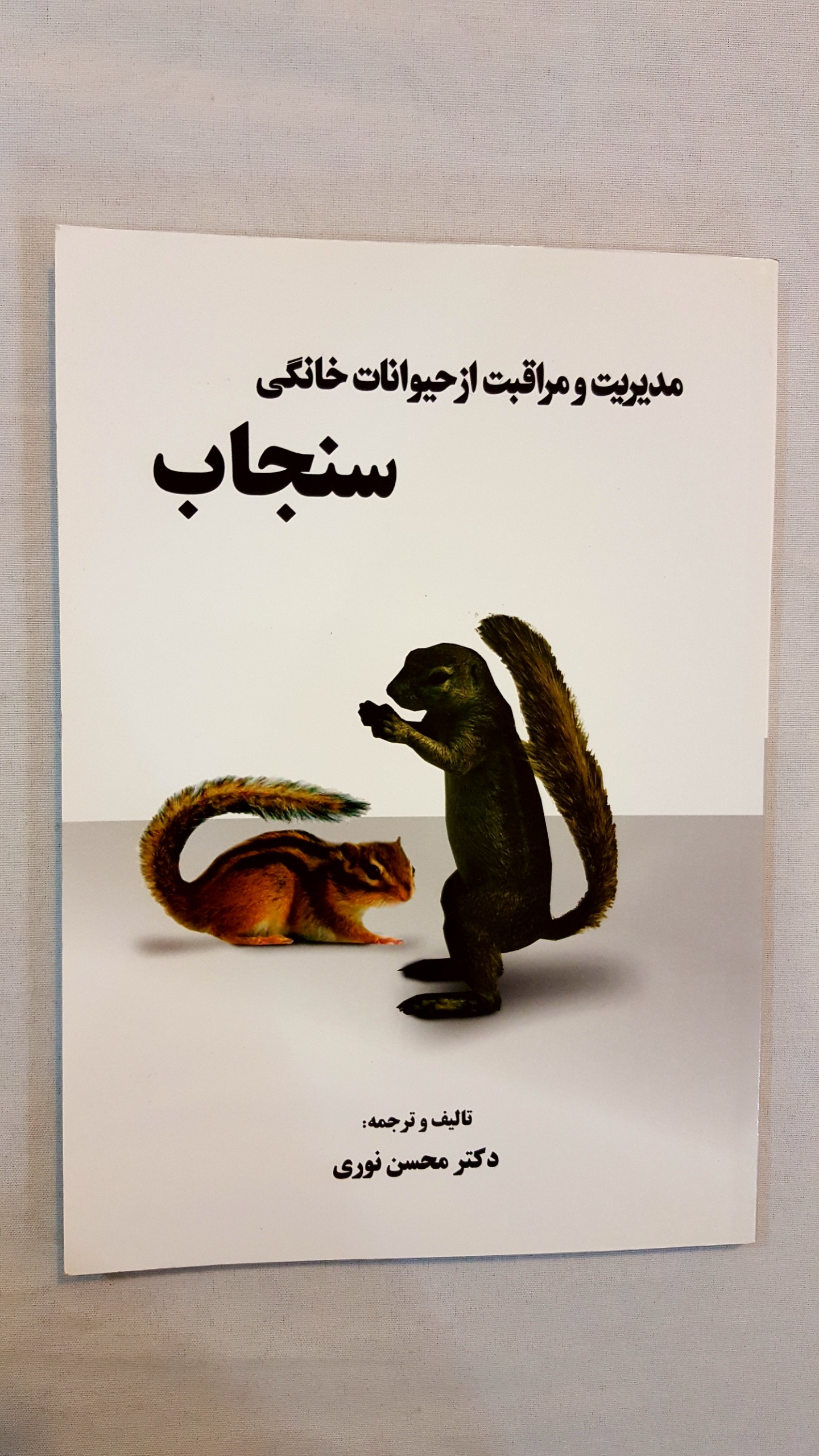 مراقبت از حیوانات خانگی سنجاب
