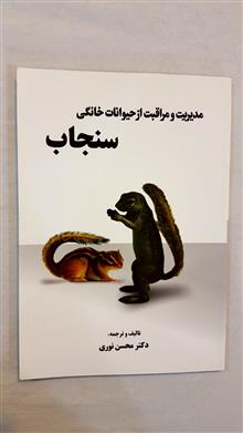 مراقبت