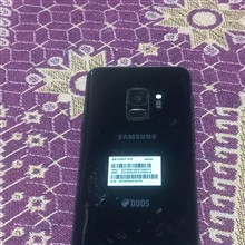برد