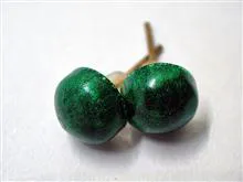 گوشواره