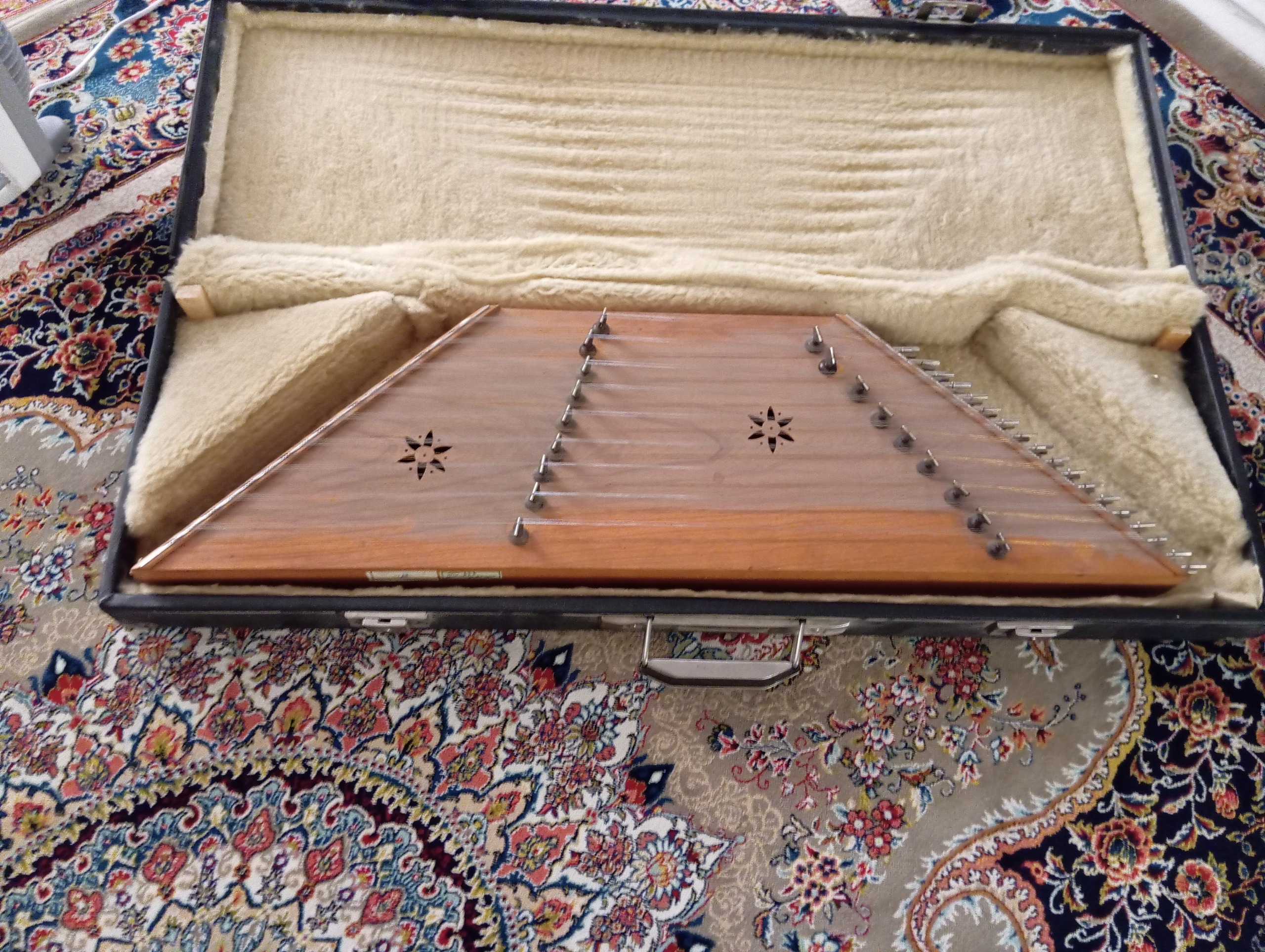 سنتور با کیس