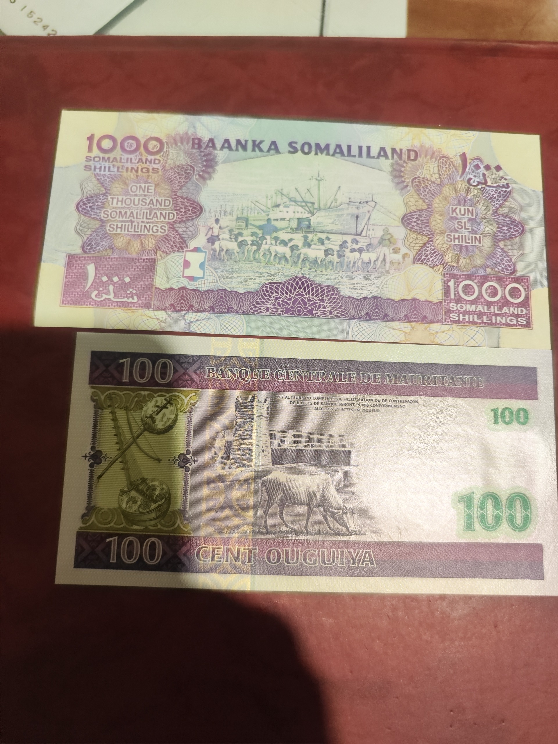 دو تک سومالی و موریتانی