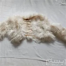 نیم