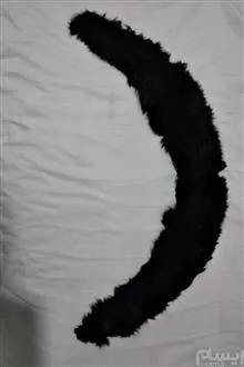 پوست