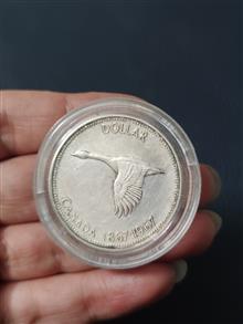 سکه