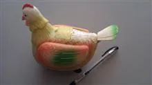 مرغ