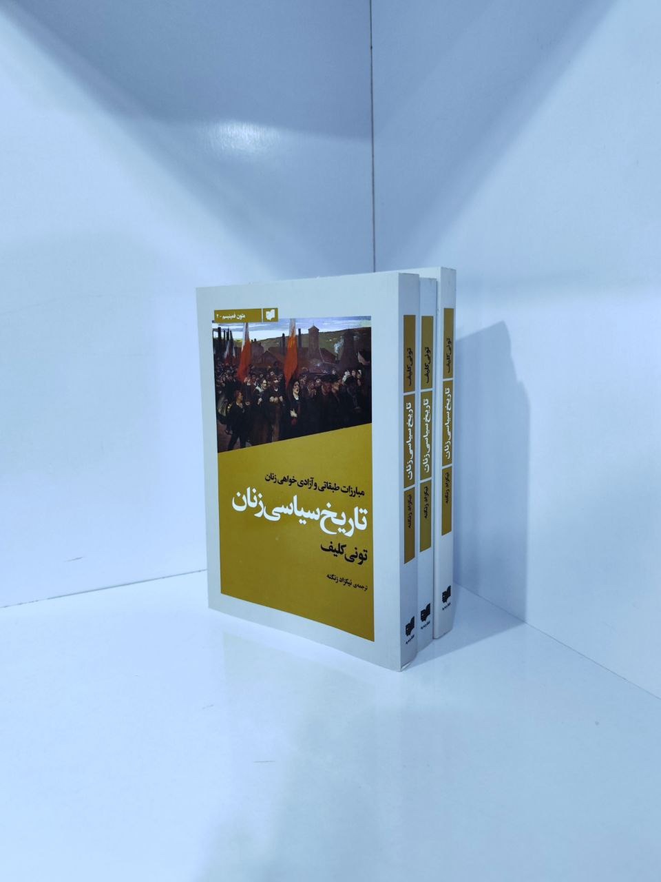 تاریخ سیاسی زنان مبارزه طبقاتی و آزادی خواهی زنان