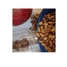 مغز